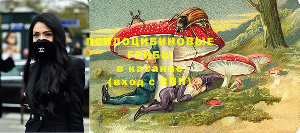 2c-b Михайловка