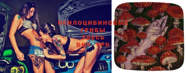 2c-b Михайловка