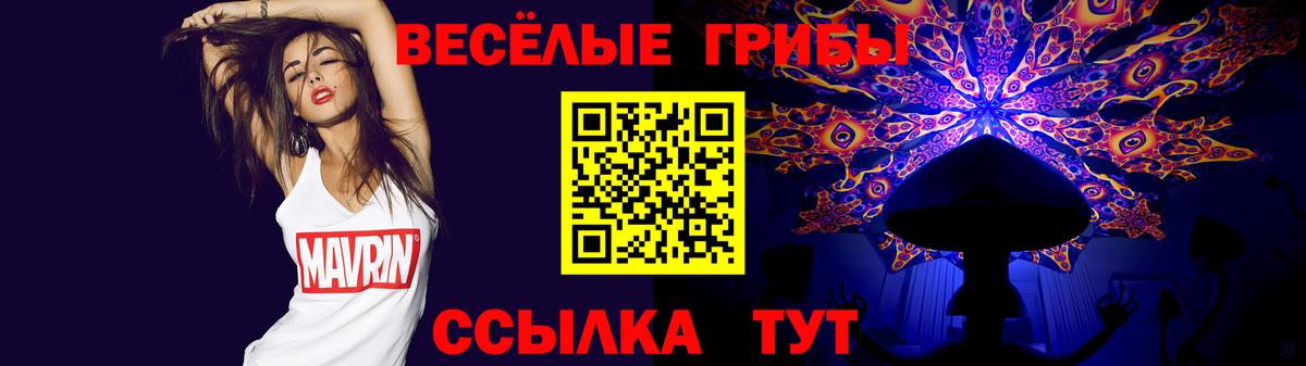Галлюциногенные грибы MAGIC MUSHROOMS  Вход с VPN  Ивантеевка 